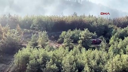 Muğla'daki orman yangınına havadan müdahale, günü ilk ışıklarıyla devam ediyor