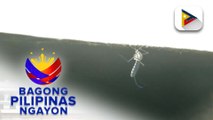 Kaso ng dengue sa Baguio City, tumaas