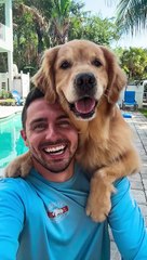 This might be the best selfie ever