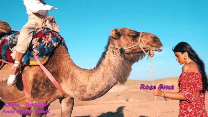 Otilia~Deli Gibi~Anas otman Remix2024