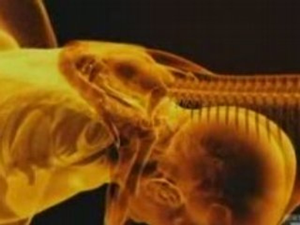 Serpents géants 3 de 3