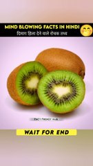 Amazing Facts About Food  #food #facts #amazingfacts #randomfacts #intersgingfacts #factfrenzy