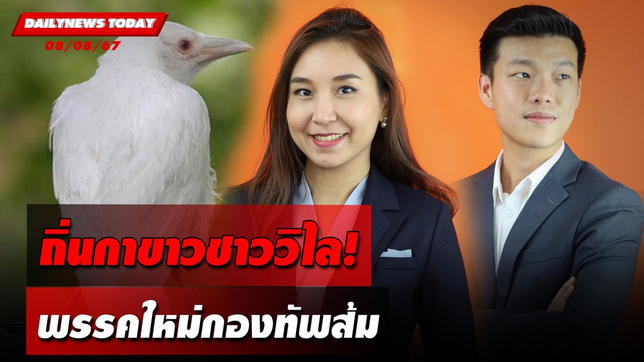 ถิ่นกาขาวชาววิไล! พรรคใหม่กองทัพส้ม | DAILYNEWSTODAY 08/08/67