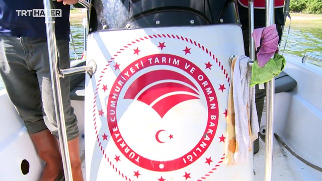 TRT Haber ekipleri Terkos Gölü'nde hayalet ağ temizliğini görüntüledi