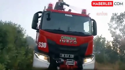 Bingöl'de orman yangını kontrol altına alındı