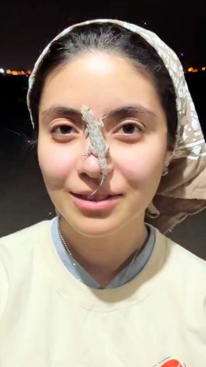 there's a lizard on my face