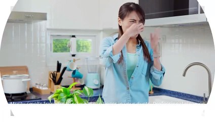 Top 10 Benefits of Professional Duct Cleaning