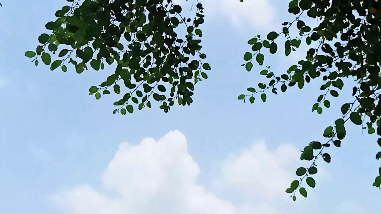 Badal |Song | beautiful nature |Birds