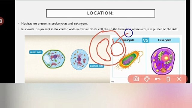 Nucleus in Urdu | organelles structure | Lec # 7 | chp # 4 | cells and tissues | 9th class Biology