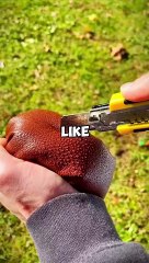 Intresting DO YOU KNOW Fact!