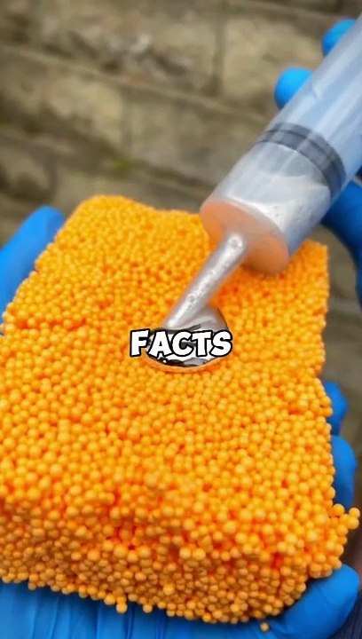 Intresting Fact!