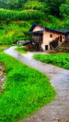 Today is nice beautiful raining #beautiful#nice#naturalbeauty933#natural#beauty#news#greemgreen#grass#beautiful#beautynatural#night#hotvideo#