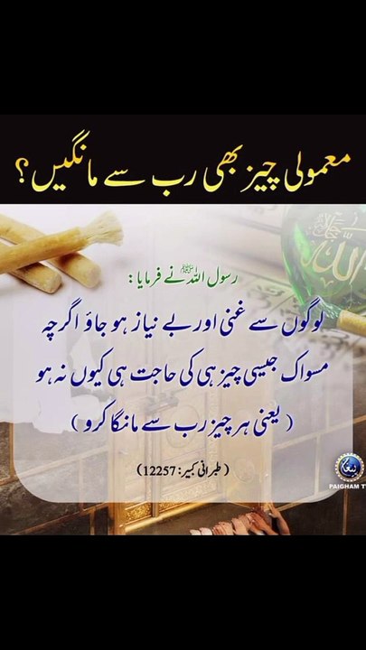 ہر چیز اپنے رب سے مانگا کرو ❤️#trending#viral#shorts#islamic#foryou#dailymotion#share