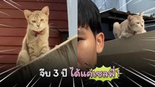 สาวรีวิวจีบเจ้าเหมียวมา 3 ปียังไม่ติด ตามไปชมคลิปความน่ารักกันเลย..