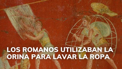 Los romanos utilizaban la orina para lavar la ropa