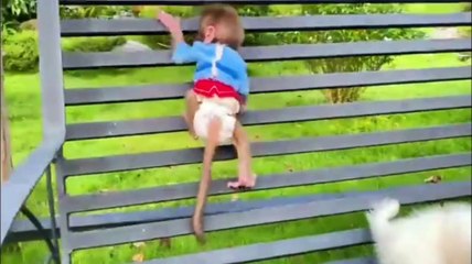 Baby monkey Bon Bon go to the toilet and playing with the puppy So cute