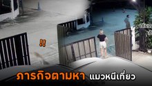ตกใจทั้งบ้าน แมวสุดรักหายไป ภารกิจตามหาเลยเกิดขึ้น จะเจอไหมเนี่ย