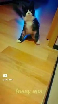 child wants ,,,,,,,_ #youtube #funny #cute #0321 #0010 @star_14672