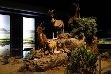 2 ayda 300 bin kişi gezdi! Çukurova Biyoçeşitlilik Tanıtım Merkezi