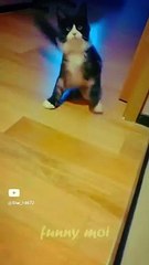 child wants ,,,,,,,_ #youtube #funny #cute #0321 #0010 @star_14672 (1)