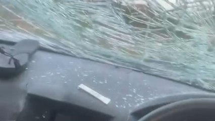 Car stuck in bushes and heavily damaged after unexpected pothole incident