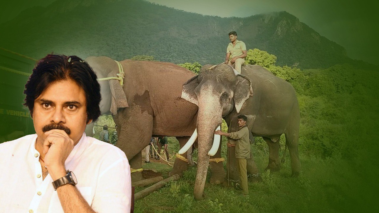 Bengaluruకు పయనమైన Deputy CM | What is Kunki Elephants..? | Oneindia Telugu