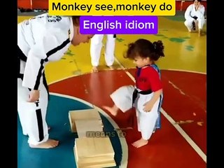 Monkey see,monkey dp (idiom)