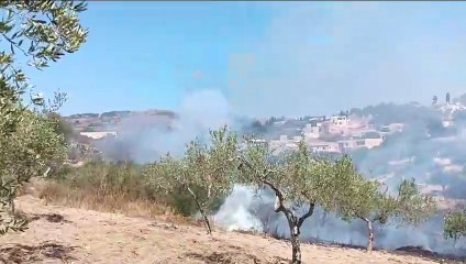 Erice, un incendio divora alberi e vegetazione a Ballata