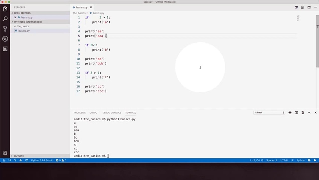 Understanding White Space in Python: Why It Matters