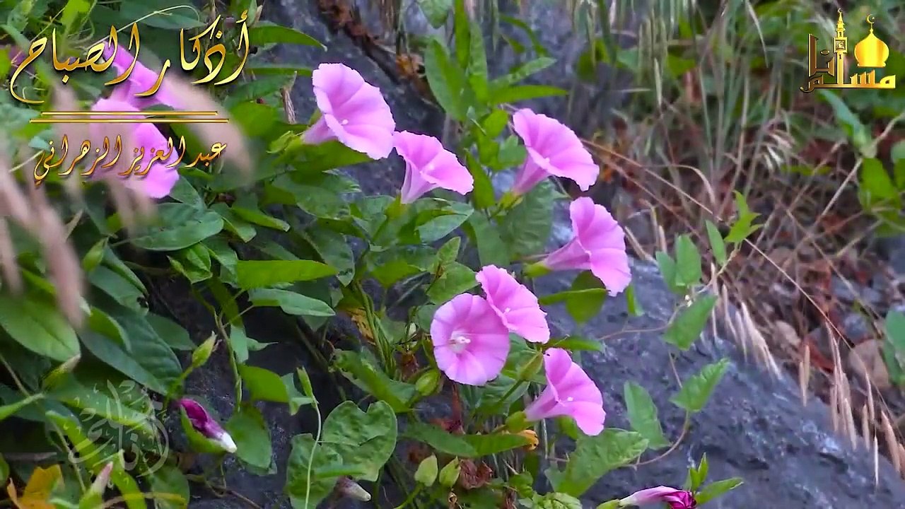 اذكار الصباح بصوت جميل  إذا قلته كفاك الله ورزقك من حيث لا تحتسب _ عبد العزيز الزهراني