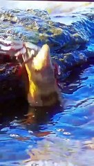 اپنا خیال رکھنا    ھمیشہ خوشں رھو