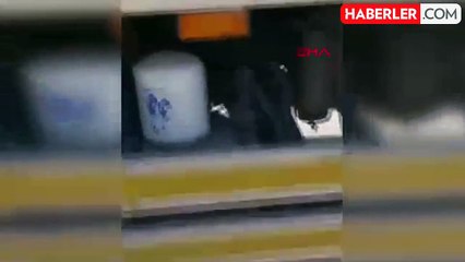 Kamyonun Altında Yavrularını Emziren Köpek Şoförün Dikkatiyle Kurtuldu