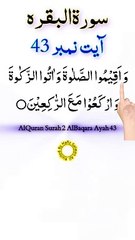 Al-Quran - Surah 2 - Al-Baqara - Ayah 43 | hafiz salman ali