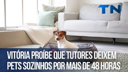 Vitória proíbe que tutores deixem pets sozinhos por mais de 48 horas