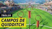 Harry Potter: Campeones de Quidditch - campos de Quidditch de las Escuelas de los Tres Magos