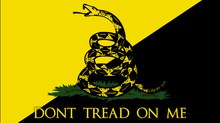 Why you should pick Anarcho-Capitalism?