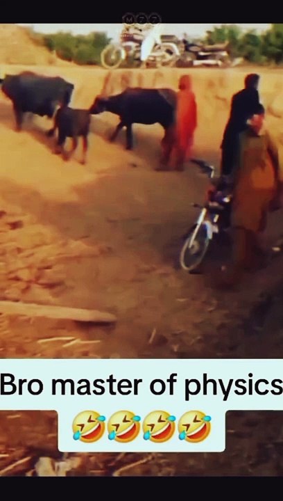 Bro Master#funny video#short#comedy#