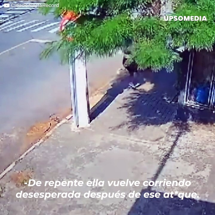 Salió a comer y la ex de su novio la alcanzo para desfigurarla