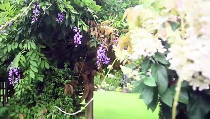 NGS: Yew Tree Garden is opening this weekend for charity.