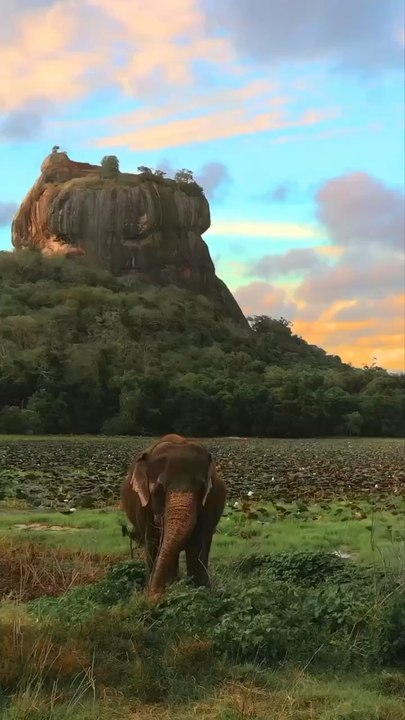 Sigirya Sri Lanka 