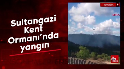 İstanbul Sultangazi Kent Ormanı'nda yangın