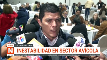 INESTABILIDAD EN EL SECTOR AVÍCOLA