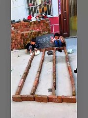 Pet race between each other