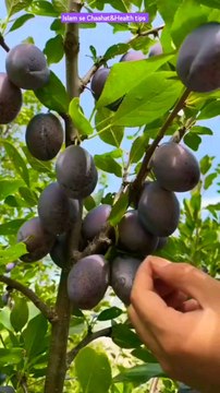 naat, viral video, viral shorts, shorts, status, naat status, naat shorts, Islamic status, Islamic shorts, viral Islamic naat, viral reels, Arman Ullah naats