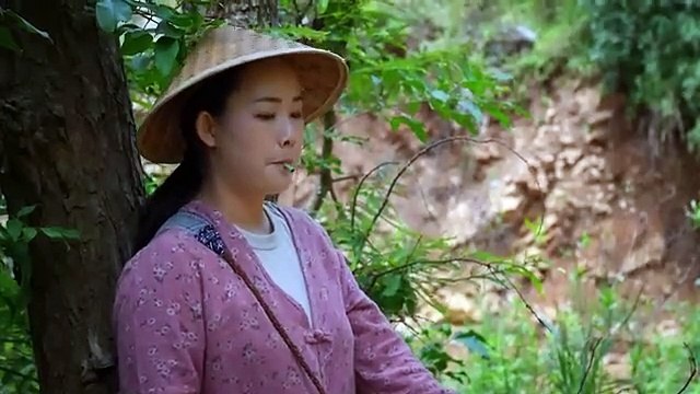 Yunnan people are currently obsessed with one thing_ mushroom foraging in the mountains_【滇西小哥】(360P)