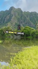 Boost Mobile App Speed with Edge Computing