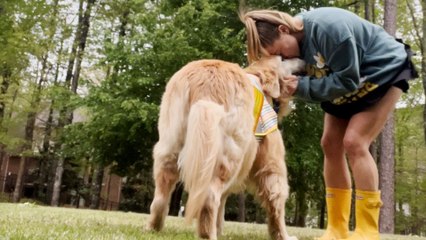 Golden Retriever Rescued After Living Outside For 8 Years