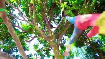 Shaktiman_And_Monkey_Special_Trending_Funny_Comedy_Video_2024Amazing_Comedy_Video_2024_Episode_272(360p)