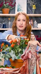 Romper el Círculo: La Inspiradora Interpretación de Palomazo 🎶