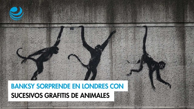 Banksy sorprende en Londres con sucesivos grafitis de animales